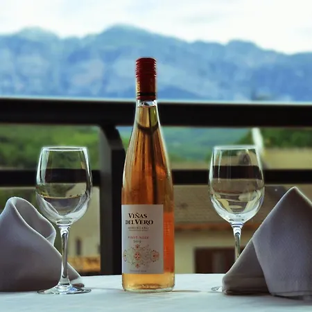 Apartment Pirineos Aínsa