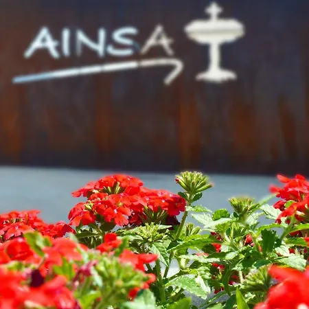 Pirineos Апартаменты Аинса-Собрарбе