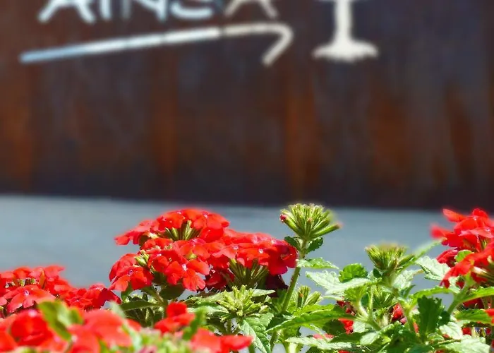 Pirineos Apartamento Aínsa